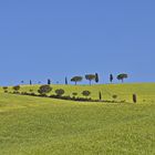 Im Val d Orcia - Toskana 