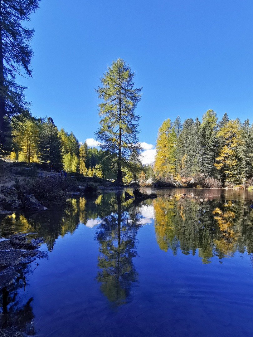 im Val di Campo