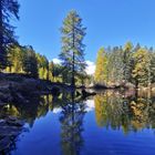 im Val di Campo