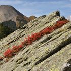 Im Val di Carassino