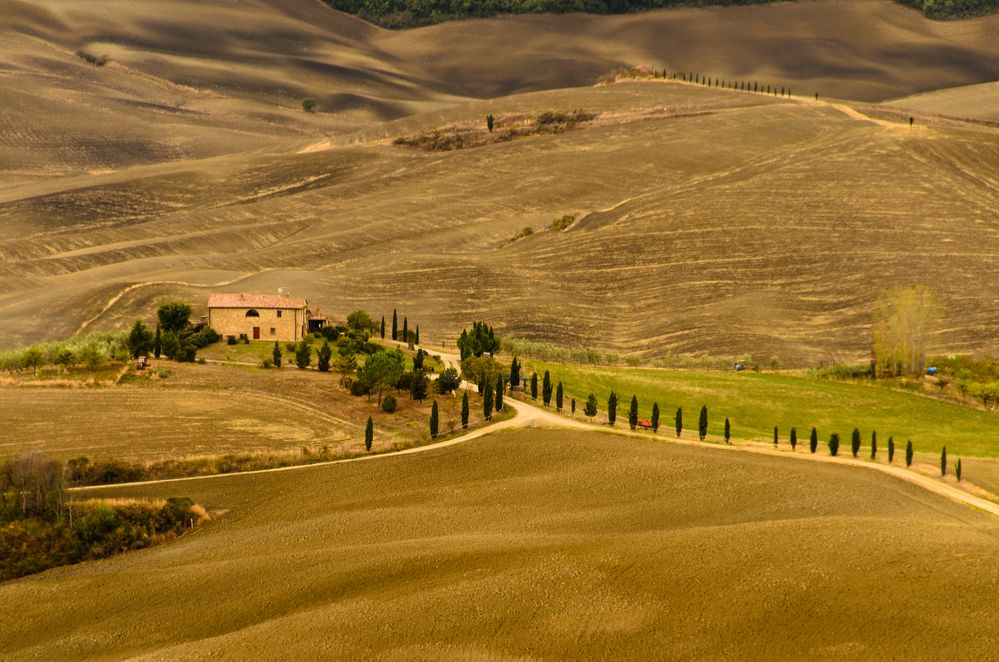Im Val d'Orcia