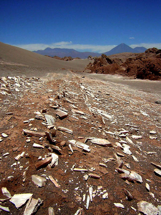 Im Valle de la muerte