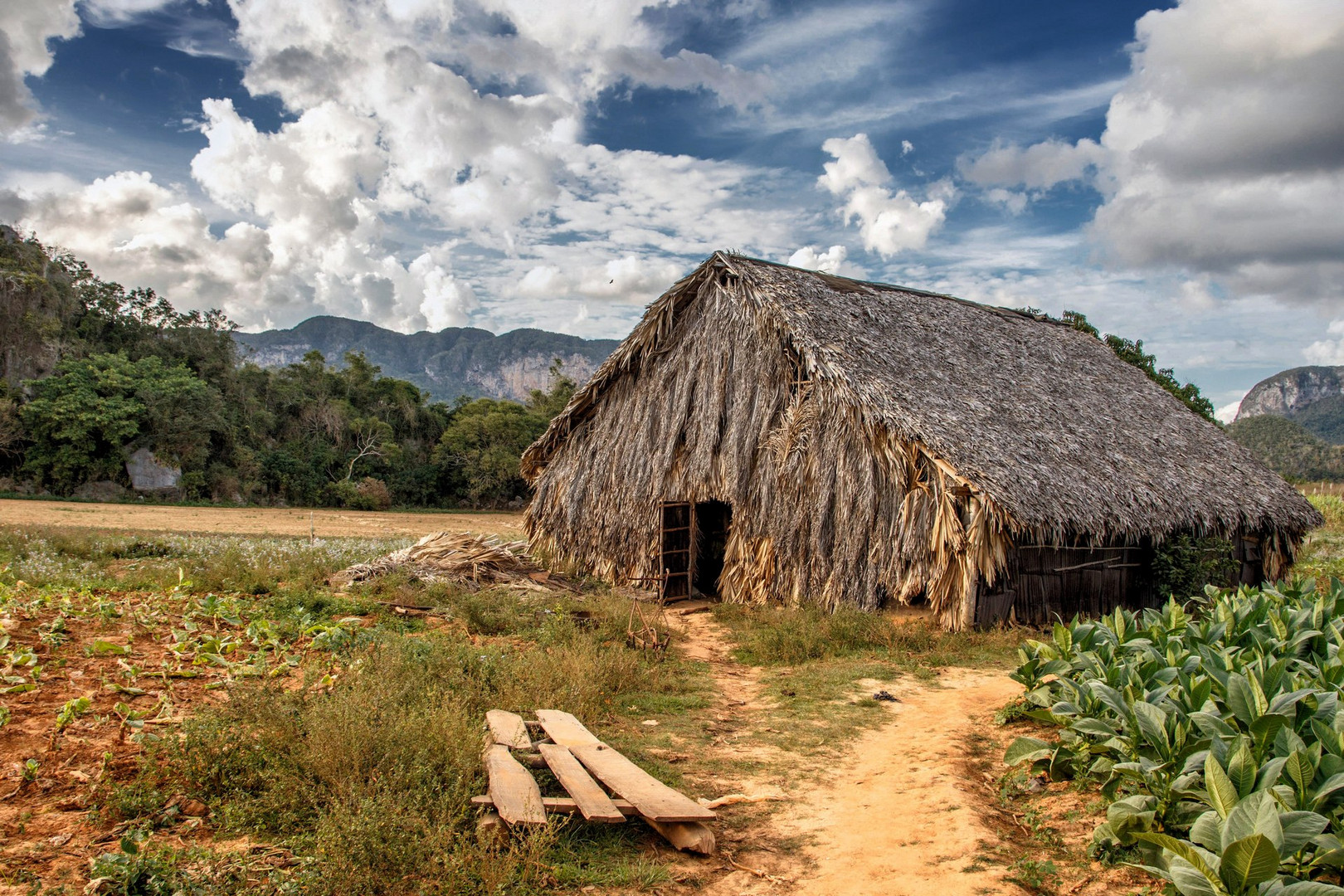 Im Valle de Viñales