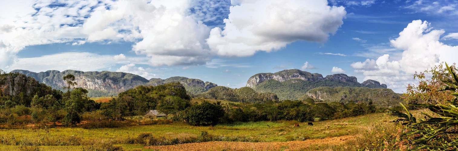 Im Valle de Viñales II