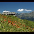 Im Valsertal