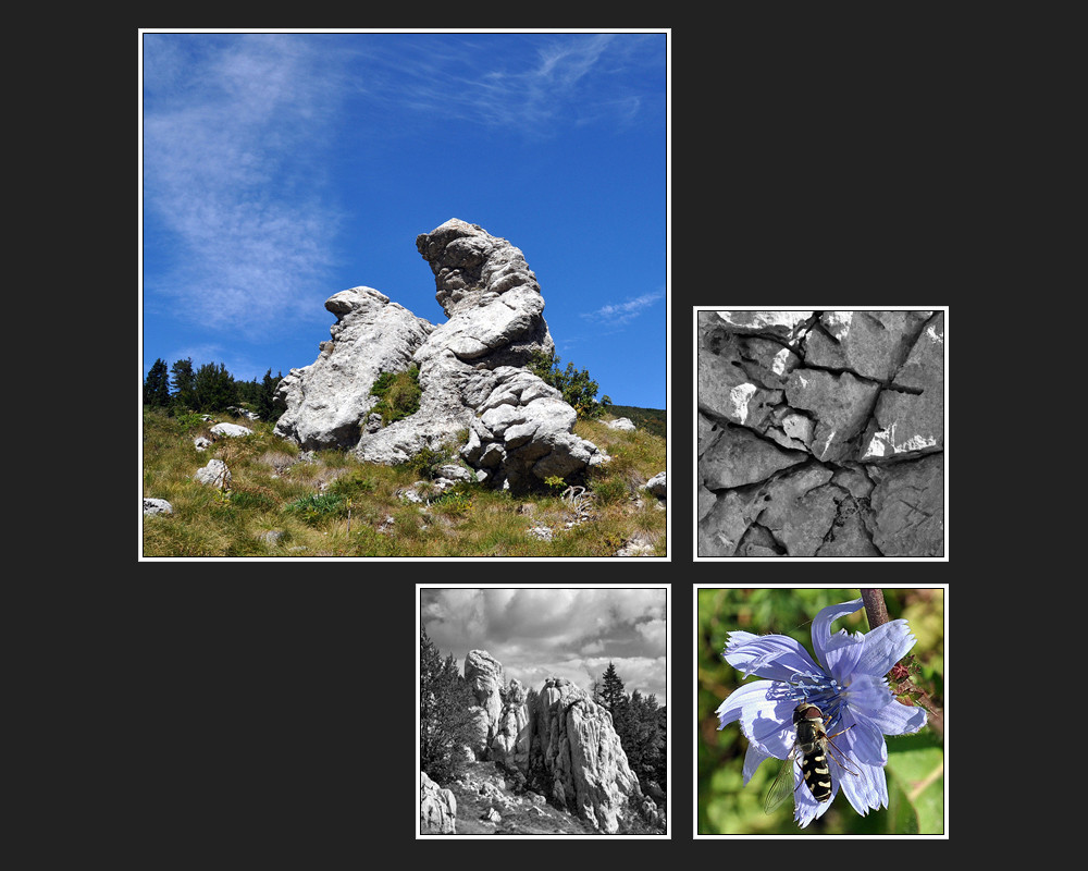 Im Velebit -II-