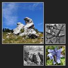 Im Velebit -II-