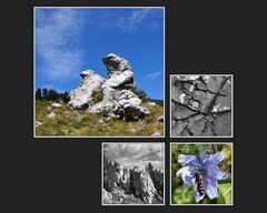 Im Velebit -II-