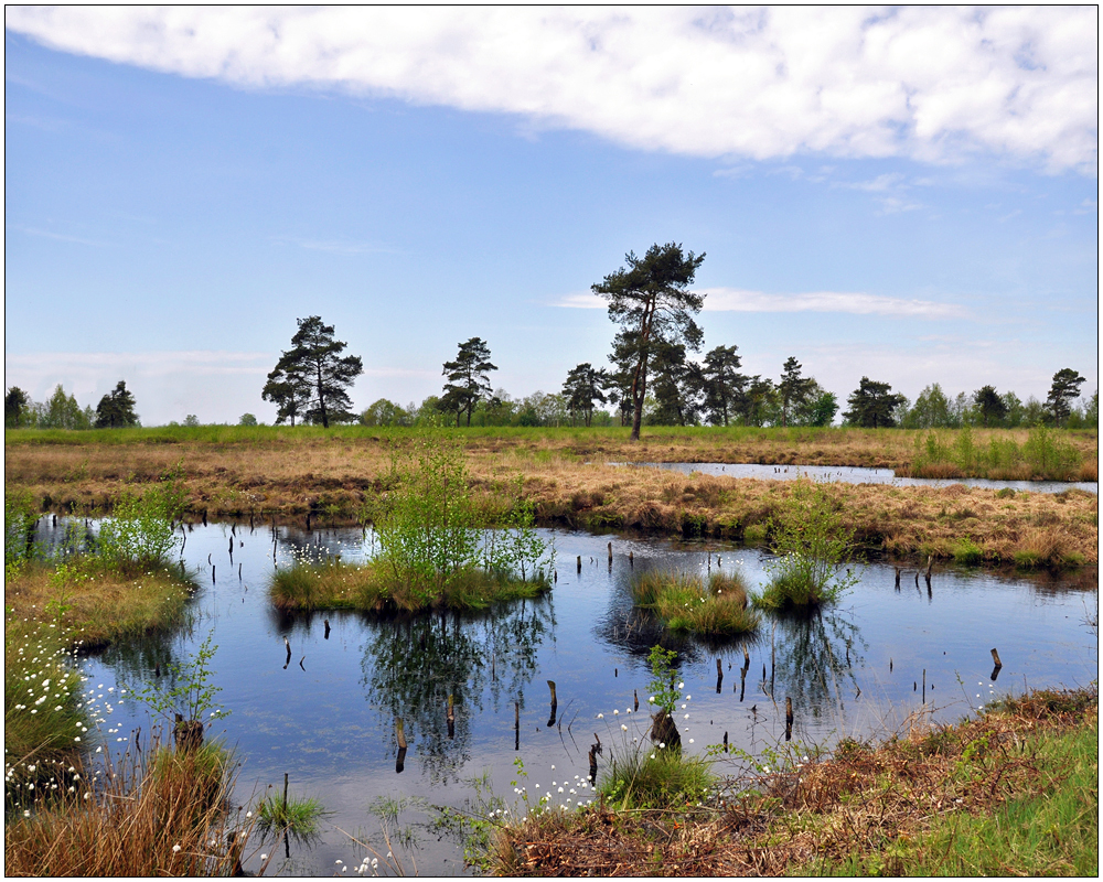 Im Venner Moor