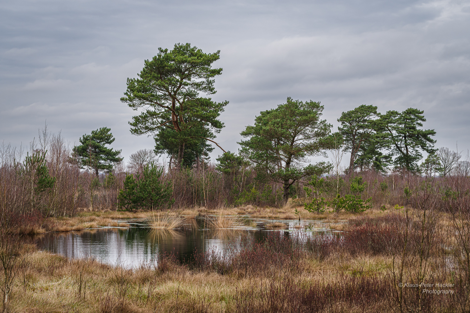 Im Venner Moor