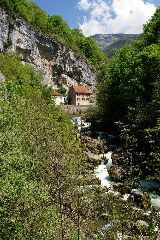 im Vercors, - (XXV:)