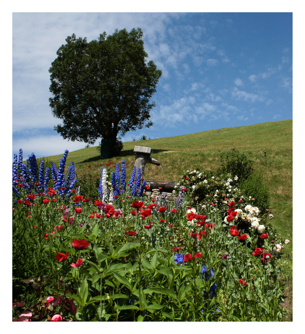 im vergangenen Sommer in Südtirol...