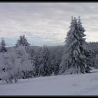 Im verschneiten Harz