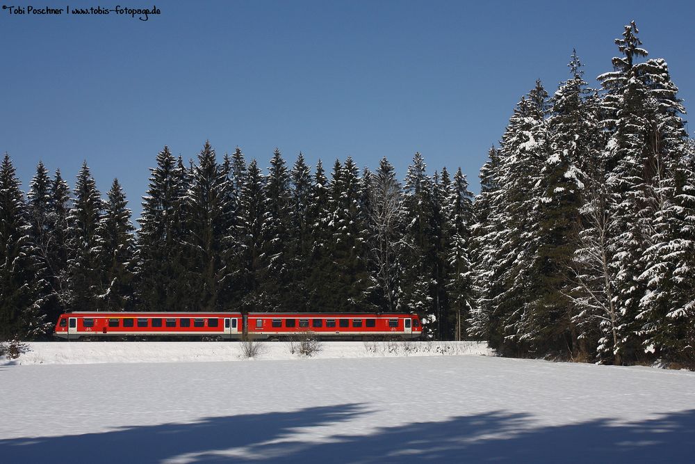 Im verschneiten Wald...