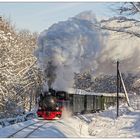 Im verschneiten Winterwald bei Steinbach