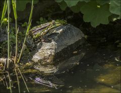 Im Versteck