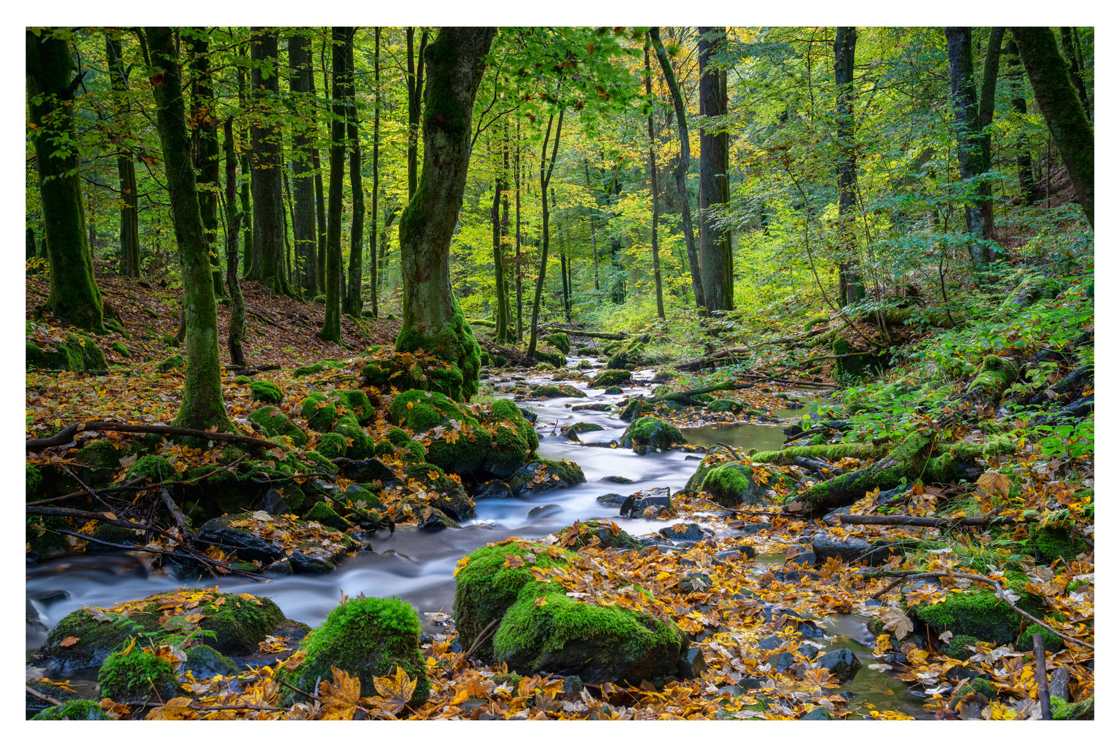 Im Vessertal