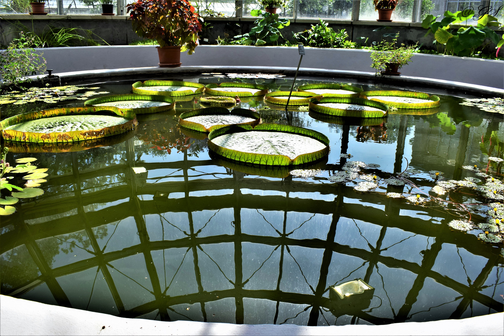 Im Viktoria Haus Foto & Bild fotos, art, world Bilder auf