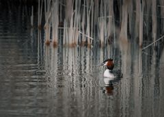 Im Visier: Am See - wann ist endlich wieder Frühling