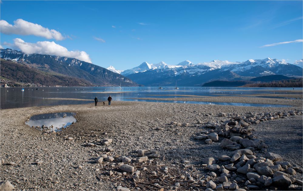 Im Visier: Am See - wann ist endlich wieder Frühling