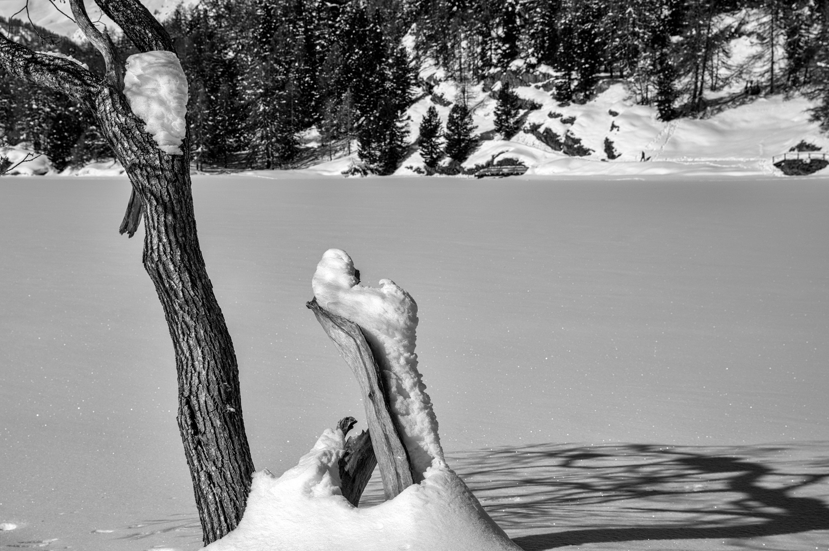 Im Visier - "Am See - wann ist endlich wieder Frühling?"