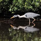 Im Visier: Am See - wann ist endlich wieder Frühling