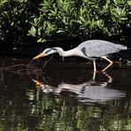 Im Visier: Am See - wann ist endlich wieder Frühling