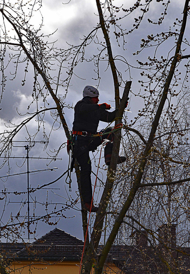 Im Visier: Berichte aus der Arbeitswelt