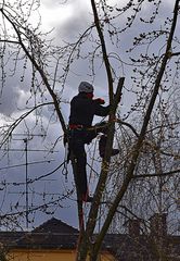 Im Visier: Berichte aus der Arbeitswelt