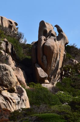 Im Visier: "Buchtitel werden zu Bildern"