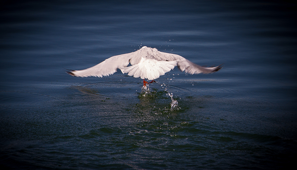 "Im Visier" der Abflug