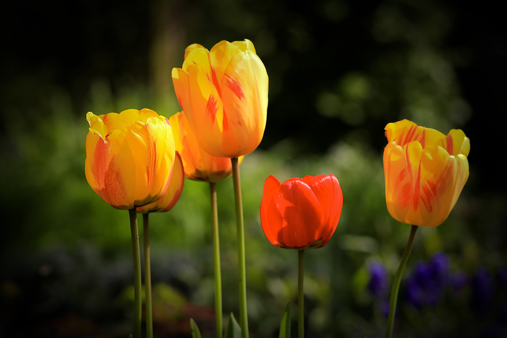 Im Visier: der Frühling