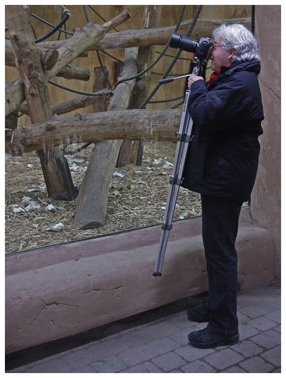 Im Visier *Die besondere Fotografenhaltung*