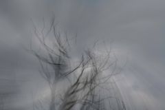im Visier: Die Schönheit des Vergehens