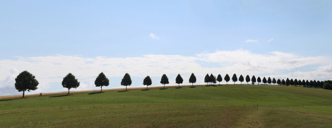 Im Visier "Drumlins"