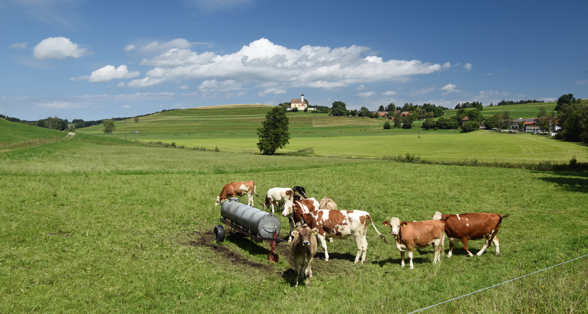 Im Visier: Drumlins