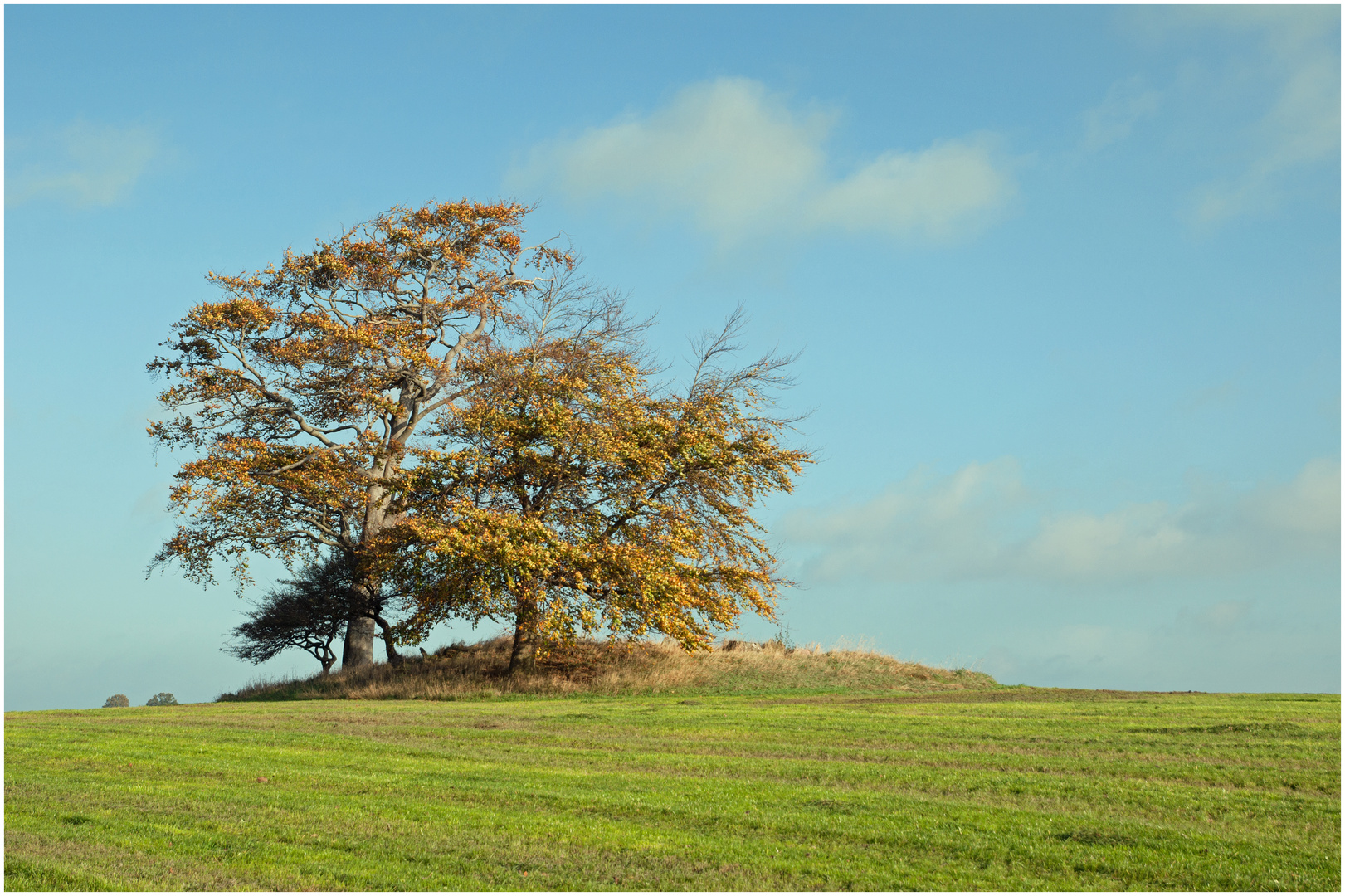 Im Visier: "Drumlins"