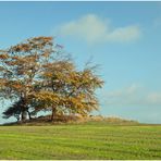 Im Visier: "Drumlins"