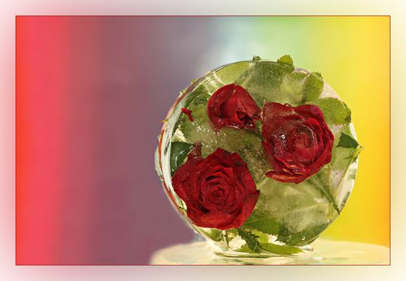 Im Visier  "Eis Blumen"