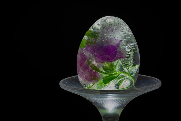 Im Visier - "Eis-Blumen"