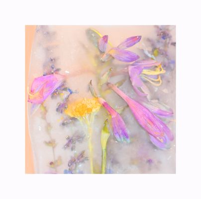 Im Visier: "Eisblumen" (Blumen im Eis)