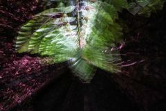 im Visier: es hat Zoom gemacht