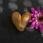 Im Visier "Flatlay mit Blüten"