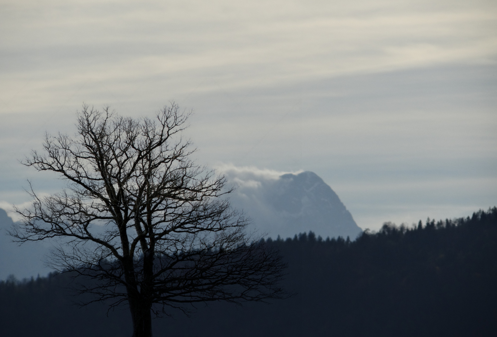 Im Visier *Herbst in allen Schattierungen*