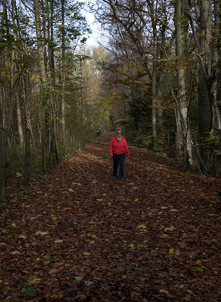 Im Visier "Herbst in allen Schattierungen"