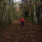 Im Visier "Herbst in allen Schattierungen"