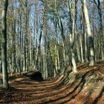 im visier - herbst in allen schattierungen