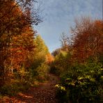 "Im Visier" - * Herbst in allen Schattierungen *