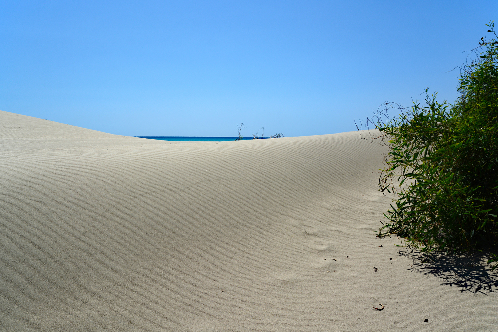 Im Visier: "Landschaft minimal"