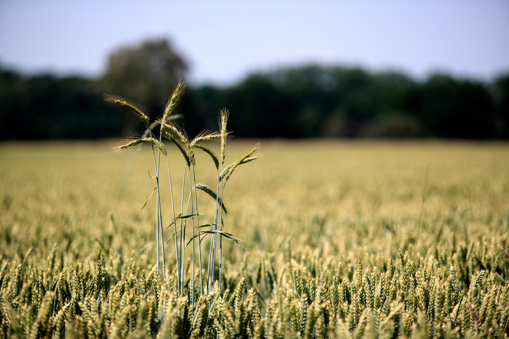 Im Visier:  "Landschaft minimalistisch"